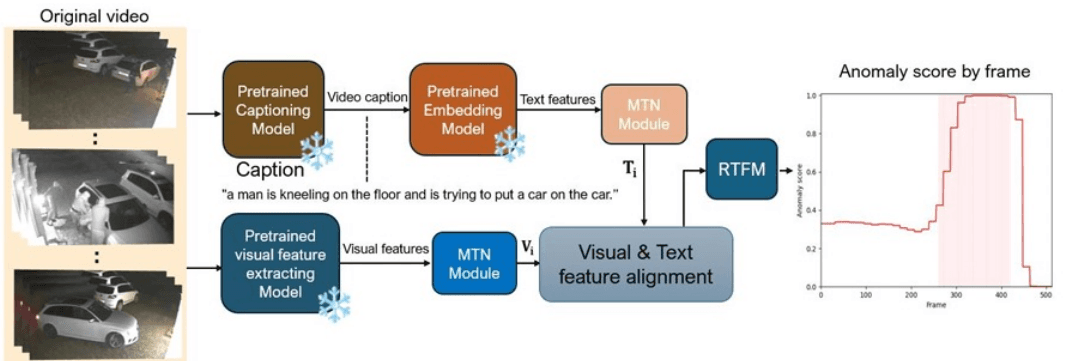 Video Anomaly Detection